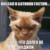 нассал в ботинки гостям... за то, что долго не уходили