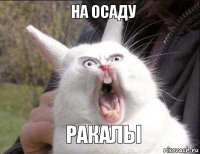 на осаду ракалы