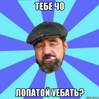 тебе чо лопатой уебать?