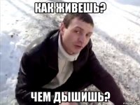 как живешь? чем дышишь?