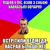 пішов у ліс, взяв з собою кавказьку овчарку встрітили ведмедя, насрав більше неї