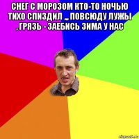 снег с морозом кто-то ночью тихо спиздил ,,, повсюду лужы , грязь - заебись зима у нас 