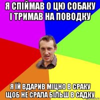 я спіймав о цю собаку і тримав на поводку я їй вдарив міцно в сраку щоб не срала більш в садку