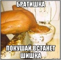 братишка покушай встанет шишка