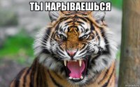 ты нарываешься 