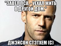 "завел пса, - уехал жить в другой дом." джэйсон стэтхем (с)