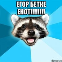 егор бетке енот!!!!!!!! 