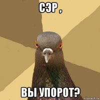 сэр , вы упорот?