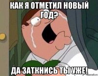 как я отметил новый год? да заткнись ты уже!