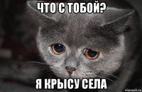 что с тобой? я крысу села