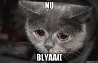 nu blyaa((