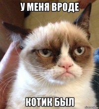 у меня вроде котик был