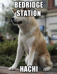 bedridge station hachi