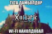 тута дамболдор wi-fi наколдовал