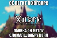 сё летит в хогварс паника он метлу сломал,швабру взял