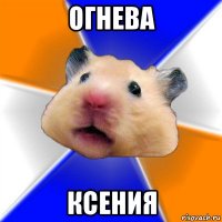 огнева ксения