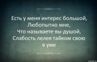 Есть у меня интерес большой,
Любопытно мне,
Что называете вы душой,
Слабость лелея тайком свою в уме