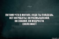 Потому что в могиле, куда ты пойдешь,
нет ни работы, ни размышления,
ни знания, ни мудрости.
Екклезиаст