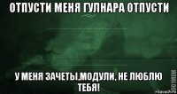 отпусти меня гулнара отпусти у меня зачеты,модули, не люблю тебя!