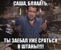 саша, бляаать, ты заебал уже сраться в штаны!!!!