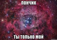 пончик ты только мой