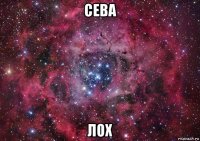 сева лох