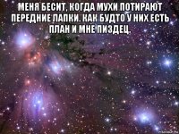 меня бесит, когда мухи потирают передние лапки. как будто у них есть план и мне пиздец. 