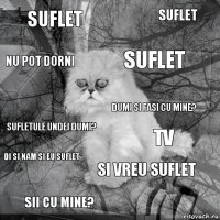 suflet tv suflet sii cu mine? sufletule undei dumi? suflet si vreu suflet nu pot dorni di si nam si eu suflet dumi si fasi cu mine?