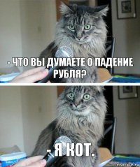 - Что вы думаете о падение рубля? - Я кот.