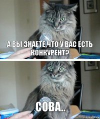 А Вы знаете,что у Вас есть конкурент? Сова..