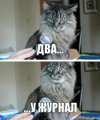 два... ...у журнал