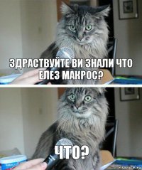 Здраствуйте ви знали что Елез макрос? Что?