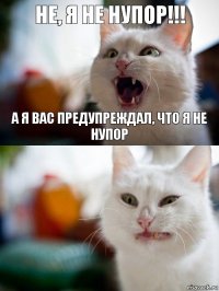 Не, я не нупор!!! А я вас предупреждал, что я не нупор