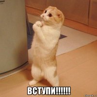  вступи!!!!!!