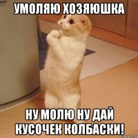 умоляю хозяюшка ну молю ну дай кусочек колбаски!