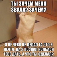 ты зачем меня звала? зачем? я не чево не делал та что я нечто. да я позвал колбася тебе дать. а что ты сделал?