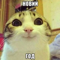 новий год