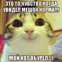 это то чувство когда увидел мешок корма!!! мой кот обурел)))