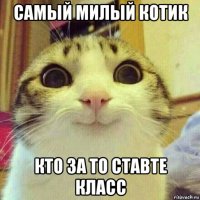 самый милый котик кто за то ставте класс