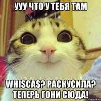 ууу что у тебя там whiscas? раскусила? теперь гони сюда!