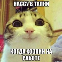 нассу в тапки когда хозяин на работе