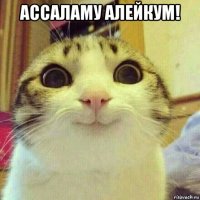 ассаламу алейкум! 