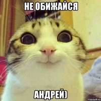 не обижайся андрей)