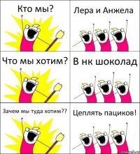 Кто мы? Лера и Анжела Что мы хотим? В нк шоколад Зачем мы туда хотим?? Цеплять пациков!