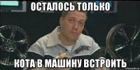 осталось только кота в машину встроить