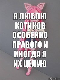 я люблю котиков особенно правого и иногда я их целую