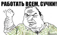 Работать всем, сучки!