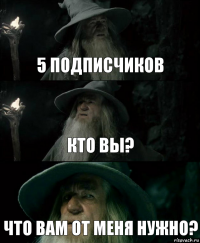 5 подписчиков кто вы? что вам от меня нужно?