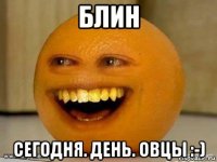 блин сегодня. день. овцы :-)