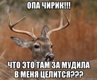 опа чирик!!! что это там за мудила в меня целится???